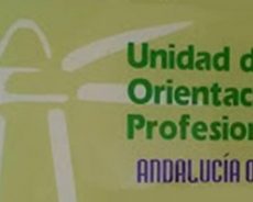 Vacante de Orientador/a laboral, Programa Andalucía Orienta (Rota)