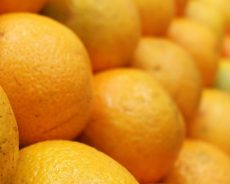 Se necesitan 35 Peones agrícolas, para la recolección de naranjas (Villanueva de Castillejos)