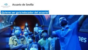 guía educador acuario Sevilla