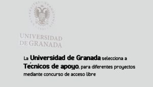 técnicos universidad Granada