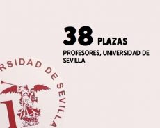 Convocadas 38 plazas de Profesores, para la Universidad de Sevilla