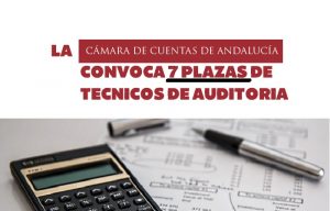 Técnicos auditoría Cámara de cuentas de Andalucía