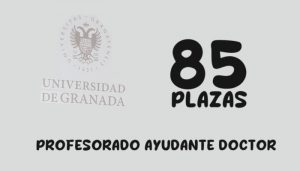 plazas profesores Universidad de Granada