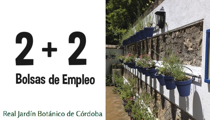bolsas empleo Córdoba
