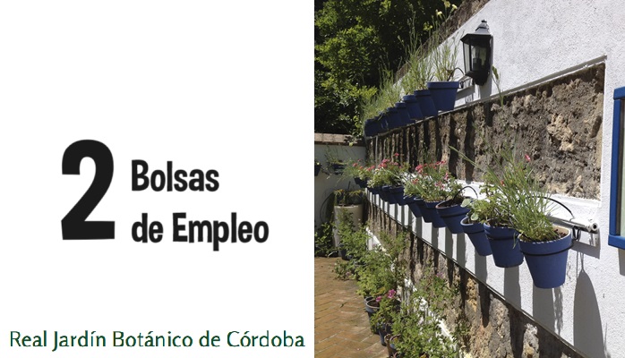 bolsas empleo jardín Córdoba