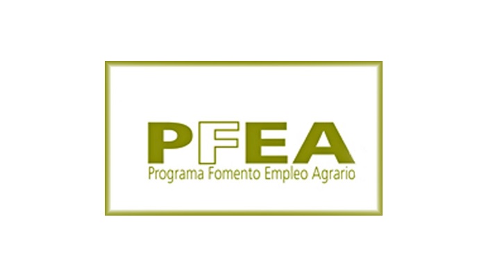Sevilla empleo PFEA
