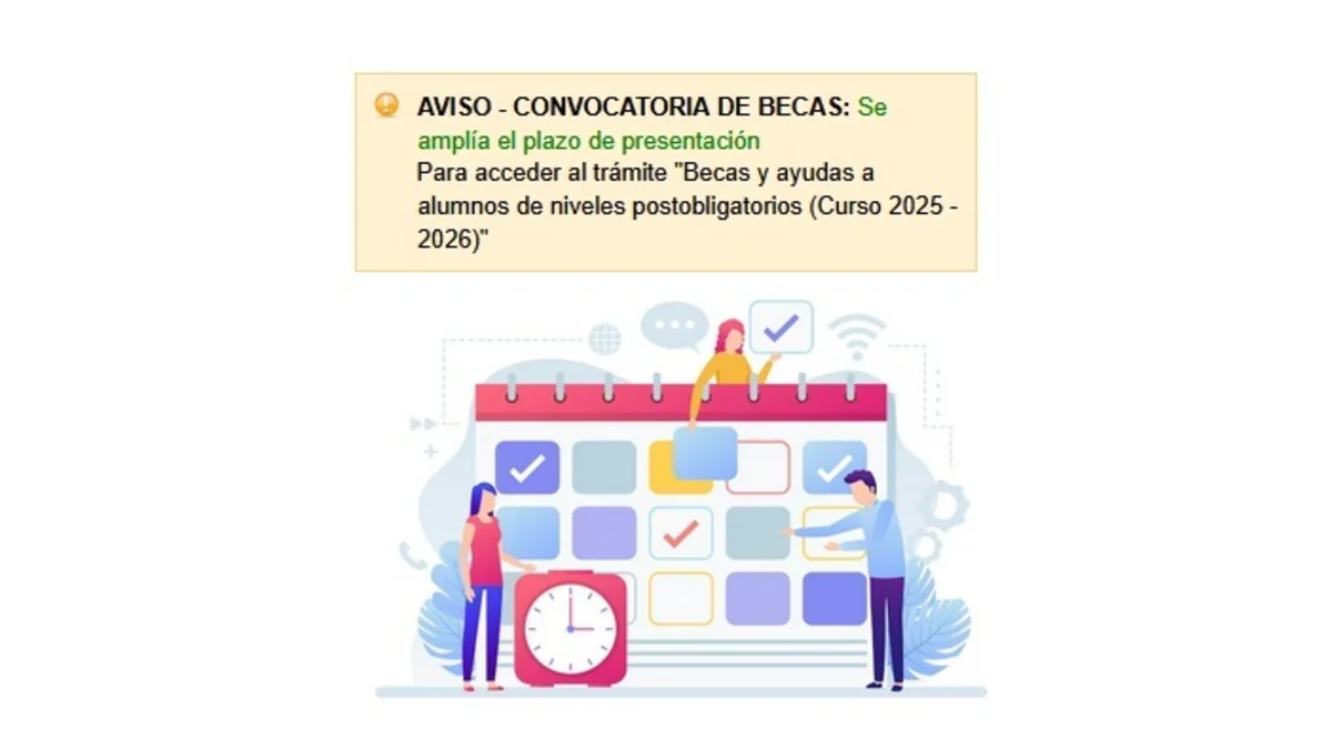 plazo becas educación