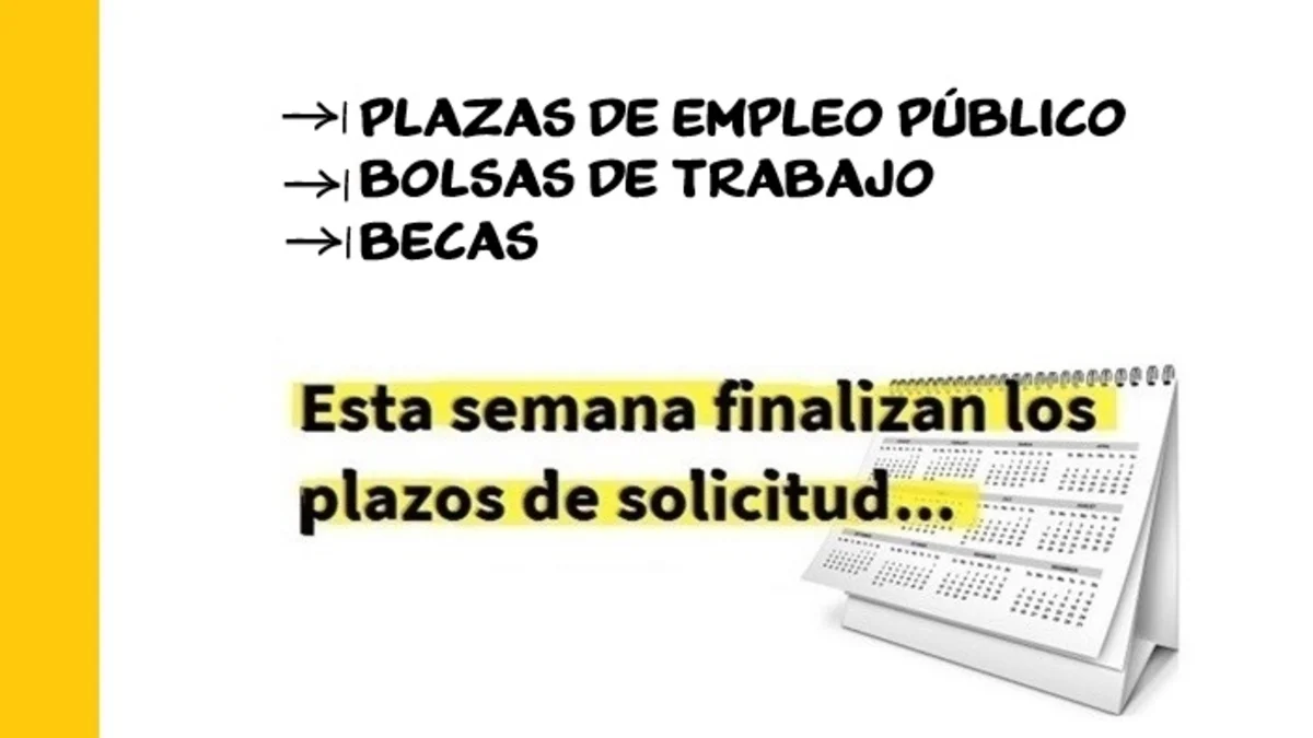 plazas empleo bolsas
