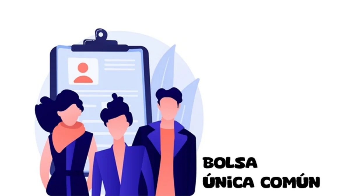 bolsa única común