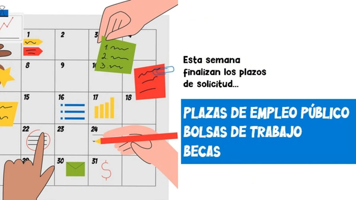 plazas empleo bolsas