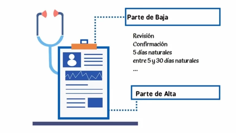Baja Médica IT