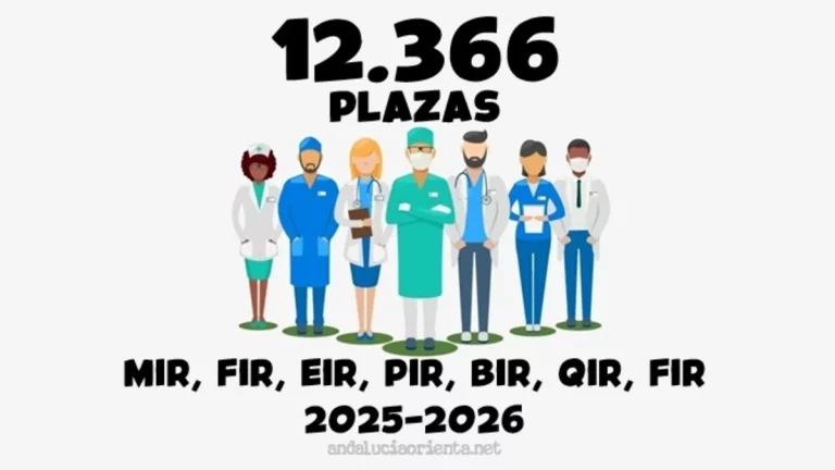 plazas MIR