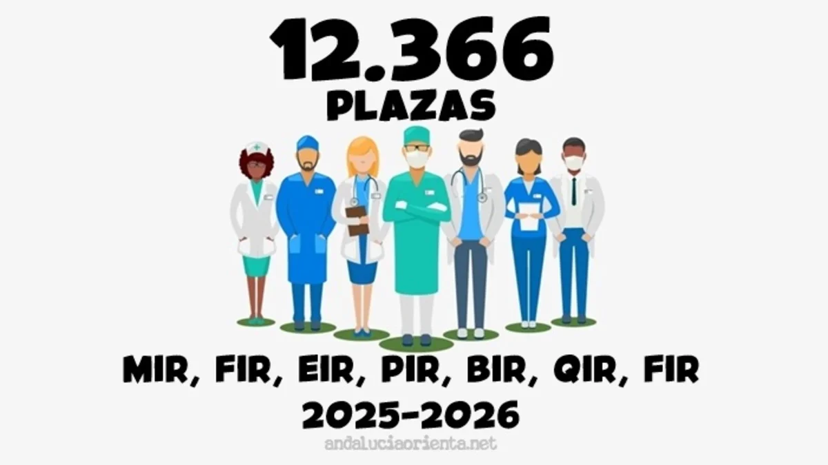 plazas MIR