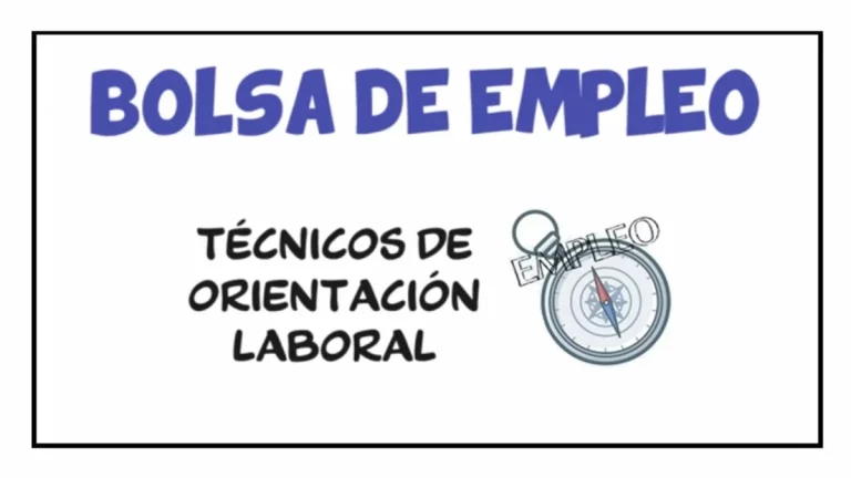 Bolsa empleo técnicos inserción