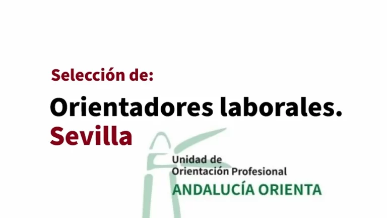 técnicos orientación