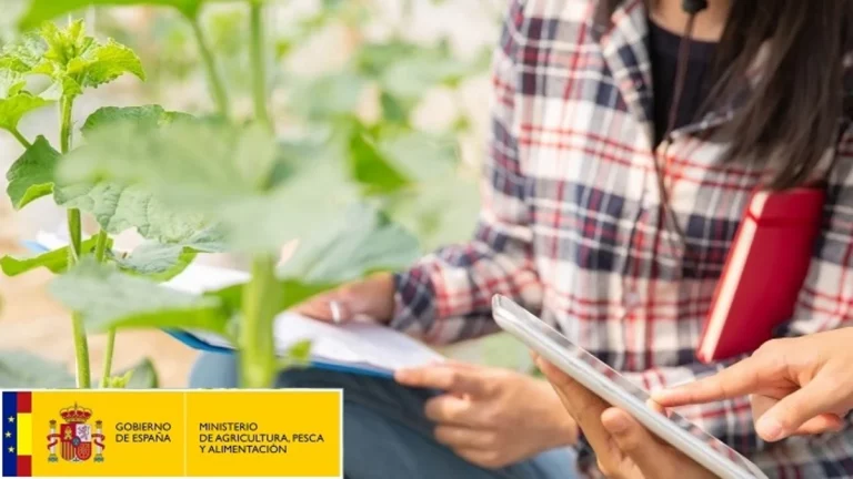 plazas Ingenieros Técnicos Agrícolas