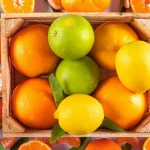 Peones agrícolas empleo Brenes Sevilla