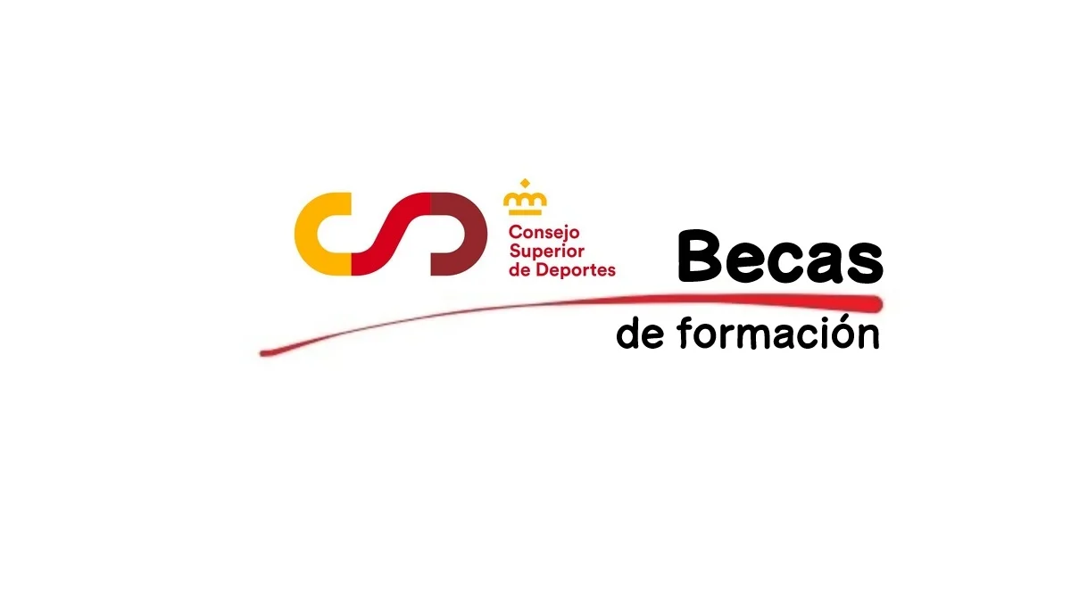Becas CSD