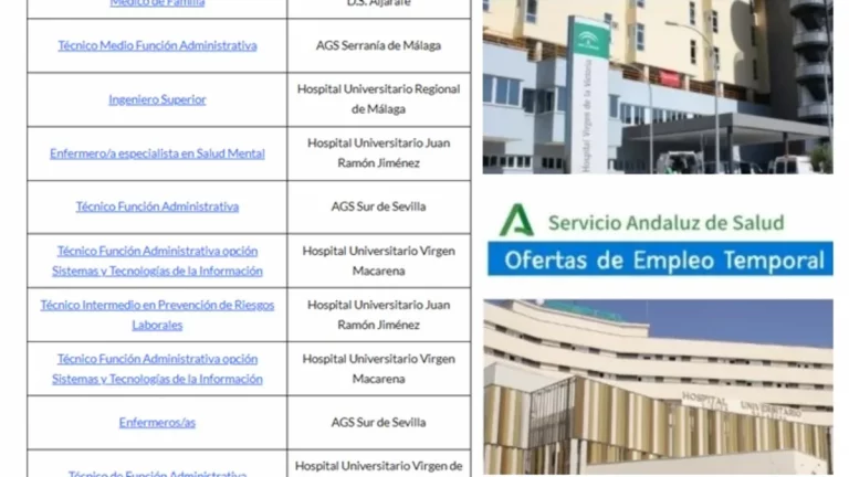 puestos base empleo SAS