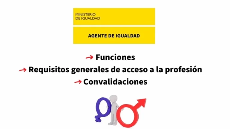 Ley Agente de Igualdad