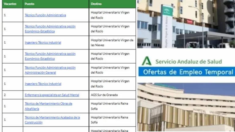 empleo SAS puestos base