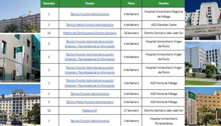 empleo SAS puestos base