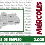 empleo SAE