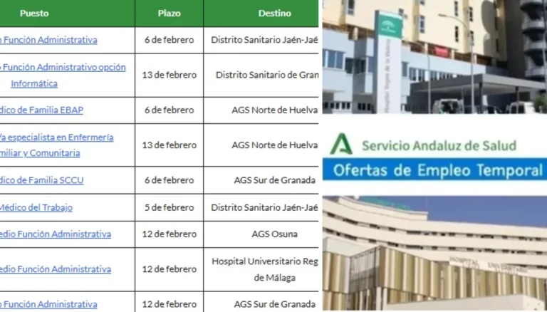 empleo SAS puestos base