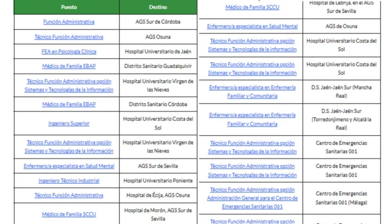 empleo SAS puestos base