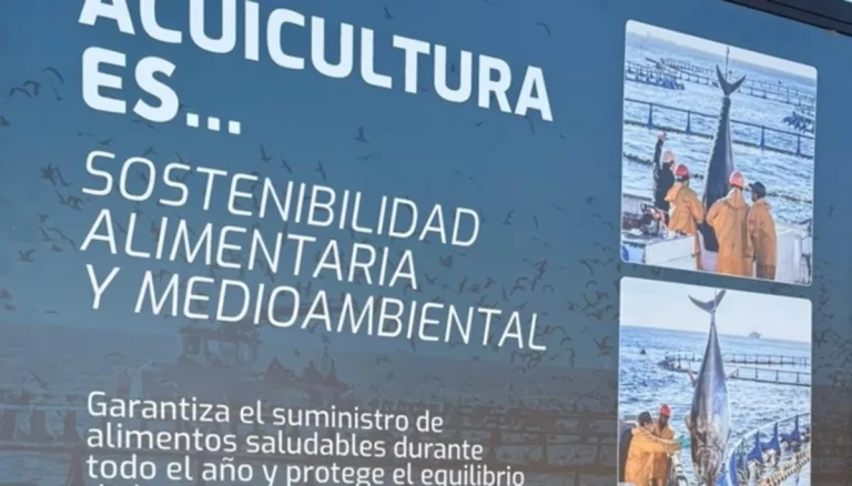 atún empleos San Fernando