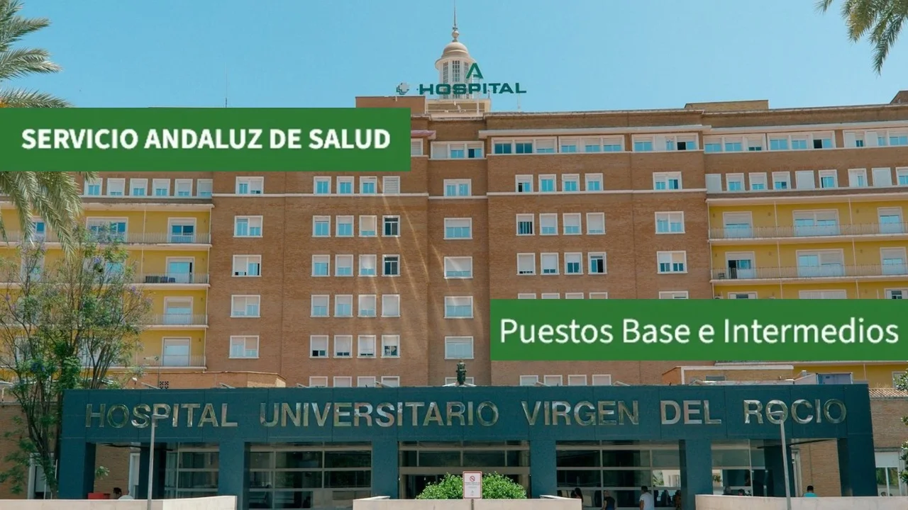 empleo SAS Puestos Base