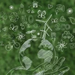 empleo Marbella educación ambiental