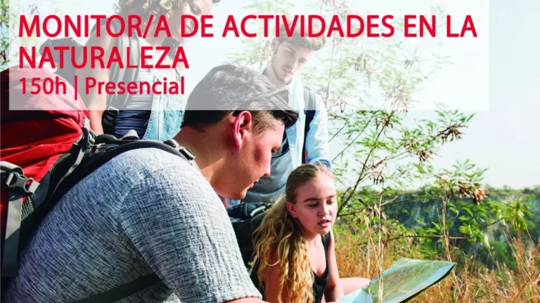 curso monitor Sevilla