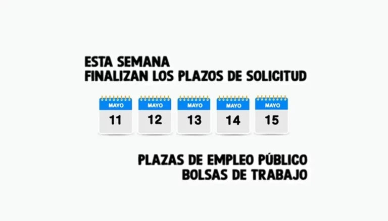 empleo público