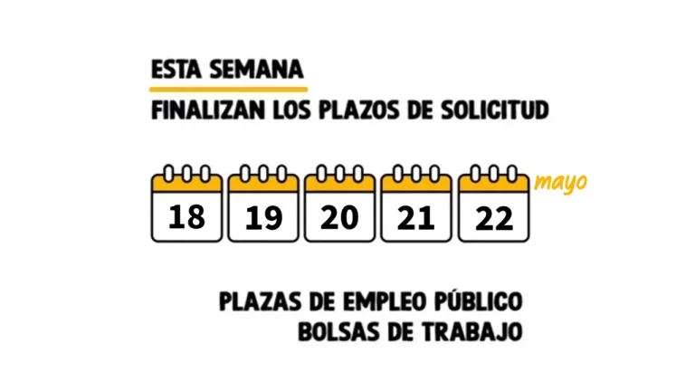 empleo público