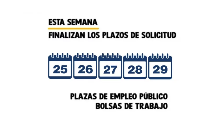 empleo público