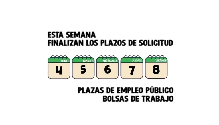 empleo público