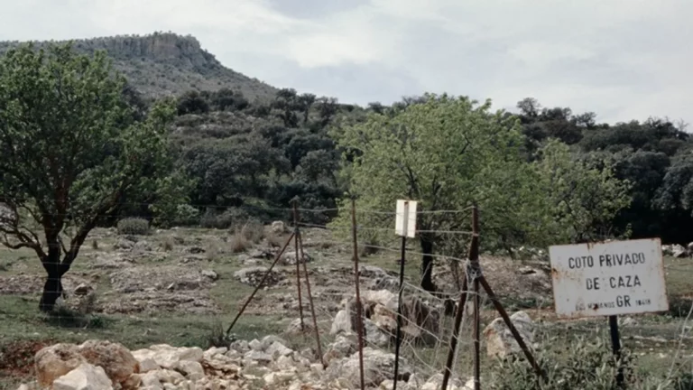 guarda jurado de caza