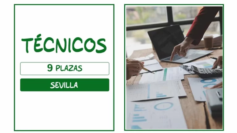 técnicos empleo Sevilla