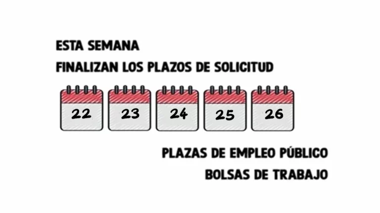 empleo público