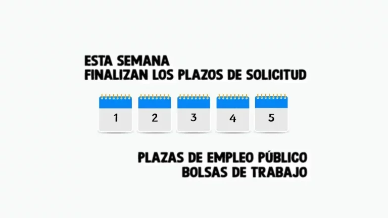 empleo público