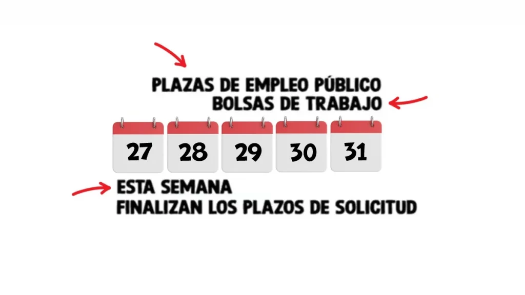 empleo público