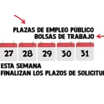 empleo público