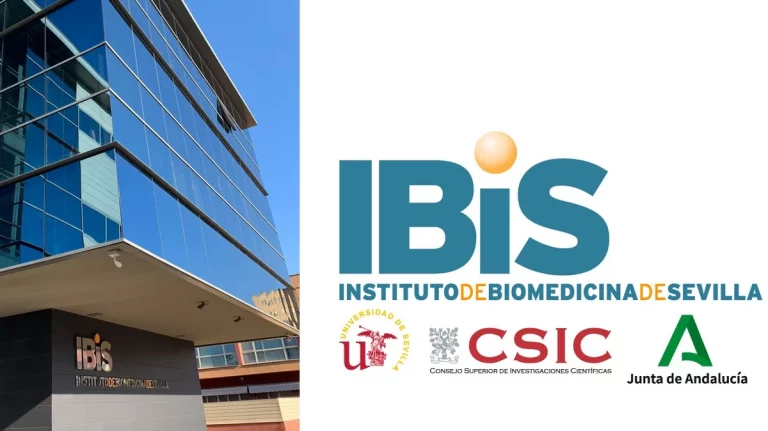 empleo contratos IBIS Sevilla