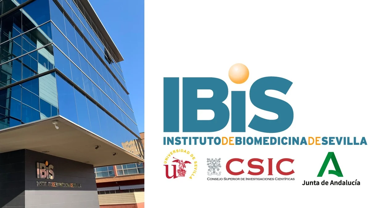 empleo contratos IBIS Sevilla