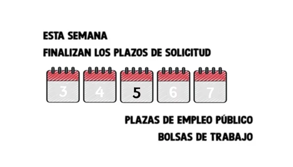 empleo público
