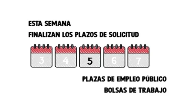 empleo público