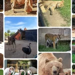 Cuidadores Zoo Córdoba
