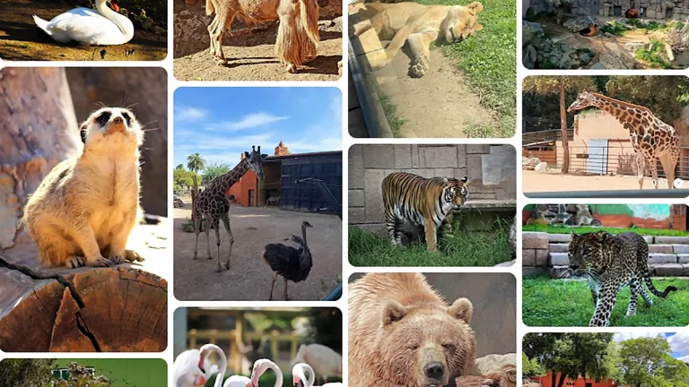 Cuidadores Zoo Córdoba