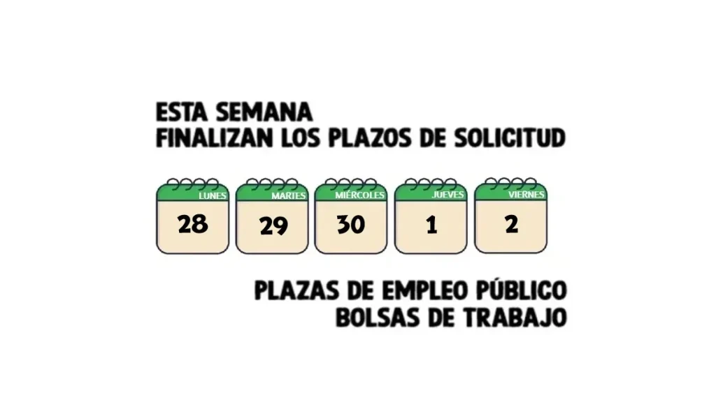 Empleo Público